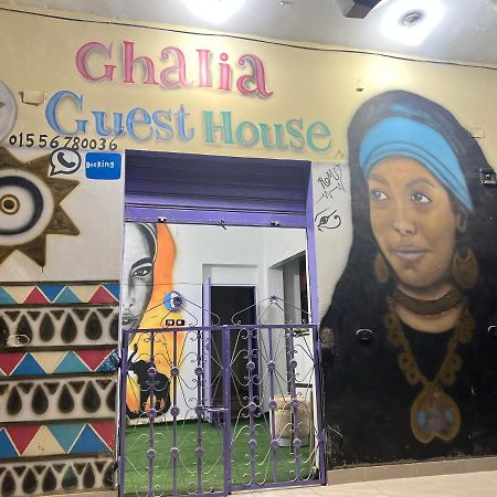 Ghalia Guest House Asszuán Kültér fotó